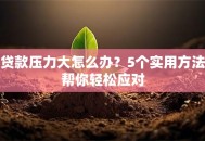 贷款压力大怎么办？5个实用方法帮你轻松应对