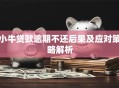 小牛贷款逾期不还后果及应对策略解析