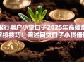 银行黑户小贷口子2025年高额度审核技巧！阐述网贷口子小贷借钱平台黑户