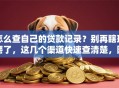 怎么查自己的贷款记录？别再瞎琢磨了，这几个渠道快速查清楚，附详细步骤