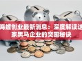 海螺创业最新消息：深度解读这家黑马企业的突围秘诀