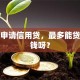 我想申请信用贷，最多能贷多少钱呀？