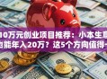 10万元创业项目推荐：小本生意也能年入20万？这5个方向值得一试！