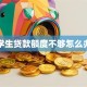 学生贷款额度不够怎么办