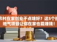 农村在家创业干点啥好？这5个接地气项目让你在家也能赚钱！