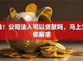 急！公司法人可以贷款吗，马上为你解惑