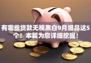 有哪些贷款无视黑白9月细品这5个！本篇为您详细挖掘！