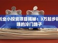 创业小投资项目揭秘：3万起步稳赚的冷门路子