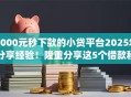 1000元秒下款的小贷平台2025年分享经验！隆重分享这5个借款秒到账的网贷app