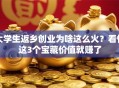大学生返乡创业为啥这么火？看懂这3个宝藏价值就赚了