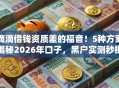 滴滴借钱资质差的福音！5种方案揭秘2026年口子，黑户实测秒批低门槛！