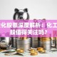 ST金化股票深度解析：化工潜力股值得关注吗？