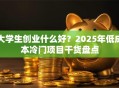 大学生创业什么好？2025年低成本冷门项目干货盘点