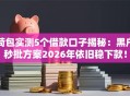 荷包实测5个借款口子揭秘：黑户秒批方案2026年依旧稳下款！