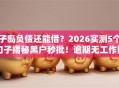 子岛负债还能借？2026实测5个口子揭秘黑户秒批！逾期无工作照样下款！
