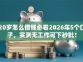 20岁怎么借钱必看2026年5个口子，实测无工作可下秒批！