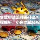 小额贷款申请流程是什么？超详细步骤解析，小白也能轻松搞定