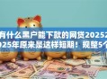 有什么黑户能下款的网贷20252025年原来是这样短期！规整5个黑户借款平台2025能下款