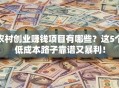 农村创业赚钱项目有哪些？这5个低成本路子靠谱又暴利！