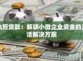 执照贷款：解锁小微企业资金的灵活解决方案