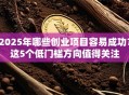 2025年哪些创业项目容易成功？这5个低门槛方向值得关注