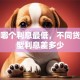 贷款哪个利息最低，不同贷款类型利息差多少