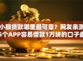 小额贷款哪里最可靠？网友亲测5个APP容易借款1万块的口子盘点