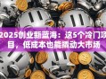 2025创业新蓝海：这5个冷门项目，低成本也能撬动大市场