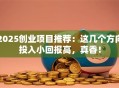 2025创业项目推荐：这几个方向投入小回报高，真香！