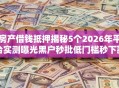 房产借钱抵押揭秘5个2026年平台实测曝光黑户秒批低门槛秒下款！