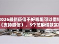 2026最新征信不好哪里可以借钱（支持微信），5个芝麻借款实时到账速借软件无私分享