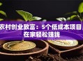 农村创业致富：5个低成本项目，在家轻松赚钱