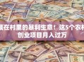 藏在村里的暴利生意！这5个农村创业项目月入过万