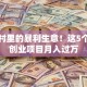 藏在村里的暴利生意！这5个农村创业项目月入过万