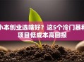 小本创业选啥好？这5个冷门暴利项目低成本高回报