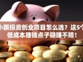 小额投资创业项目怎么选？这5个低成本赚钱点子稳赚不赔！