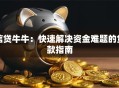 信贷牛牛：快速解决资金难题的贷款指南