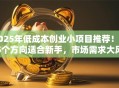 2025年低成本创业小项目推荐！这5个方向适合新手，市场需求大风险低