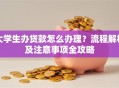 大学生办贷款怎么办理？流程解析及注意事项全攻略