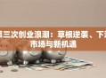 第三次创业浪潮：草根逆袭、下沉市场与新机遇