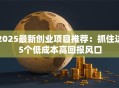 2025最新创业项目推荐：抓住这5个低成本高回报风口
