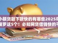 小额贷款下款快的有哪些2025年搜罗这5个！必知网贷借钱快的平台有很多