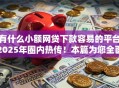有什么小额网贷下款容易的平台2025年圈内热传！本篇为您全面细说！