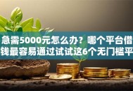 急需5000元怎么办？哪个平台借钱最容易通过试试这6个无门槛平台