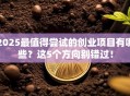 2025最值得尝试的创业项目有哪些？这5个方向别错过！