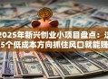 2025年新兴创业小项目盘点：这5个低成本方向抓住风口就能赚