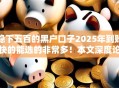 稳下五百的黑户口子2025年到账快的能选的非常多!本文深度论述这5个借钱平台! 稳下五百的黑户口子2025年到账快的能选的非常多!本文深度论述这5个借钱平台!