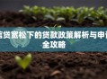 信贷宽松下的贷款政策解析与申请全攻略