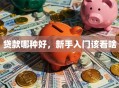 贷款哪种好，新手入门该看啥