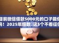目前微信借款5000元的口子能借吗！2025年细数​这5个不看征信额度大分期多